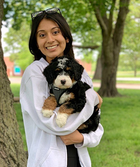 A woman happily holding her mini Bernedoodle at the dog park. 