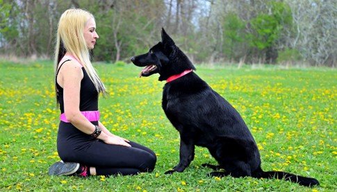 A woman outside in nature training her all black German Shepherd. 