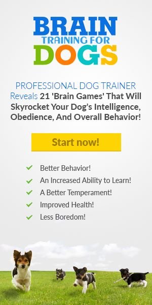 Brain Training for Dogs High Quality Dog Training Course Advertisement