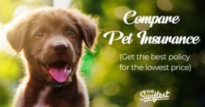 THe Swiftest Pet Insurance Comparison Advertisement Banner