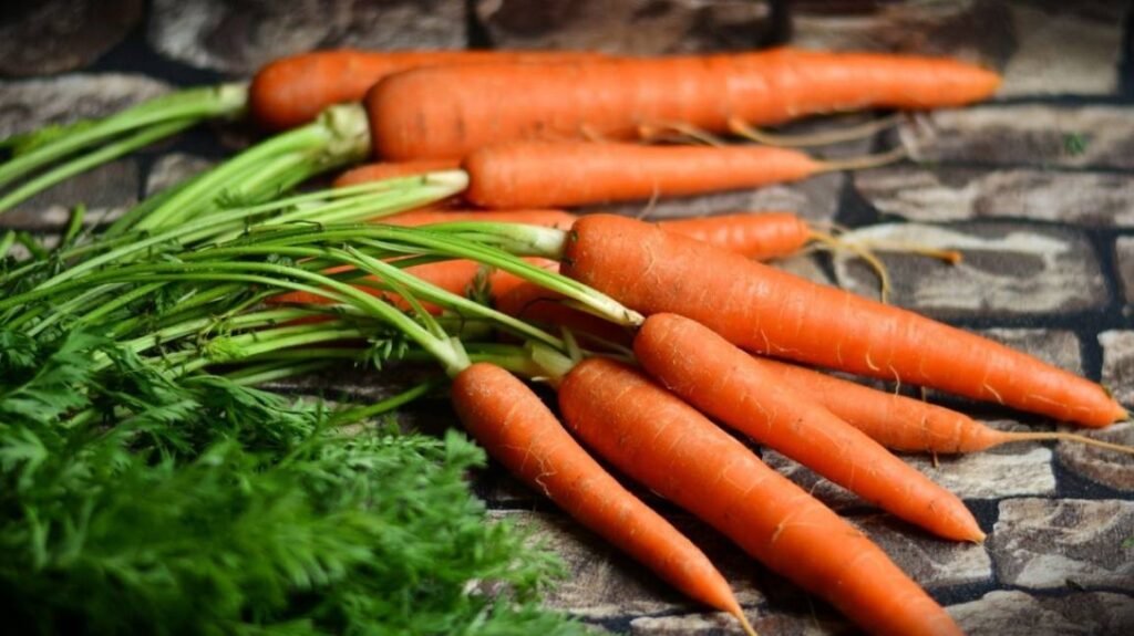 Crunchy carrot snack rich in vitamins that supports dental health in dogs.