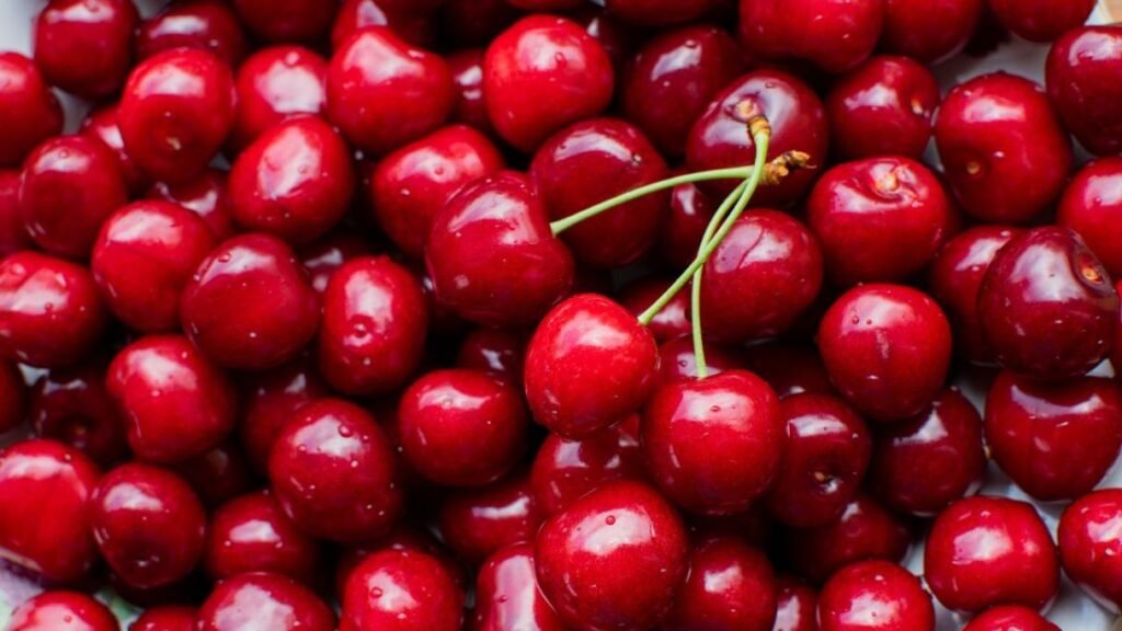 Cherries (pits, stems, and leaves), which contain cyanide and are toxic to dogs.