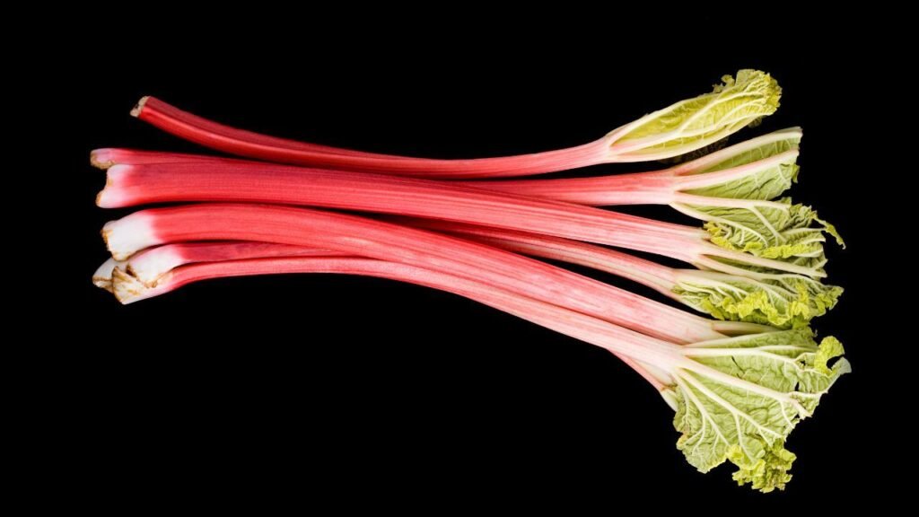 Rhubarb, which contains oxalates that can cause kidney failure, tremors, and seizures in dogs.