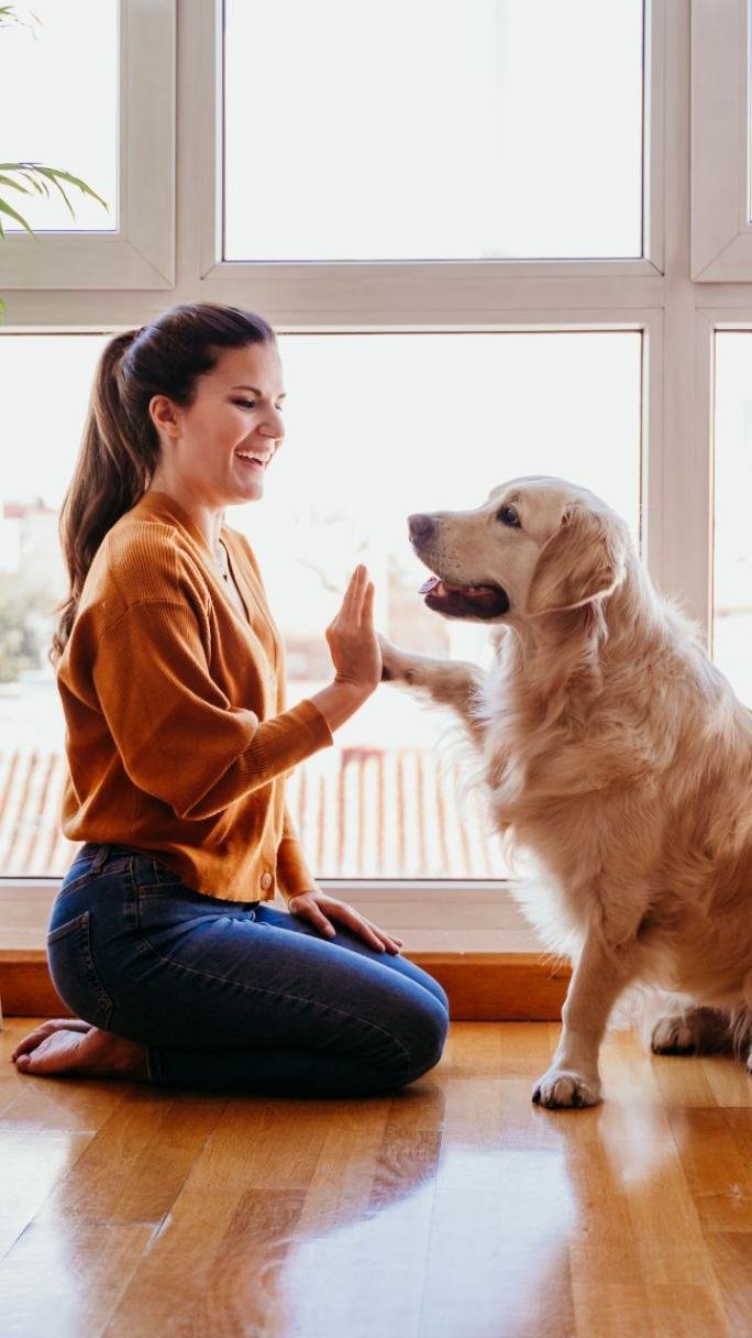 A woman high fiving her Golden Retriever.